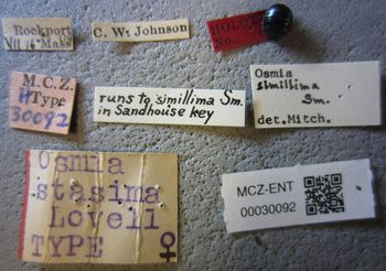 Media type: image;   Entomology 30092 Aspect: labels